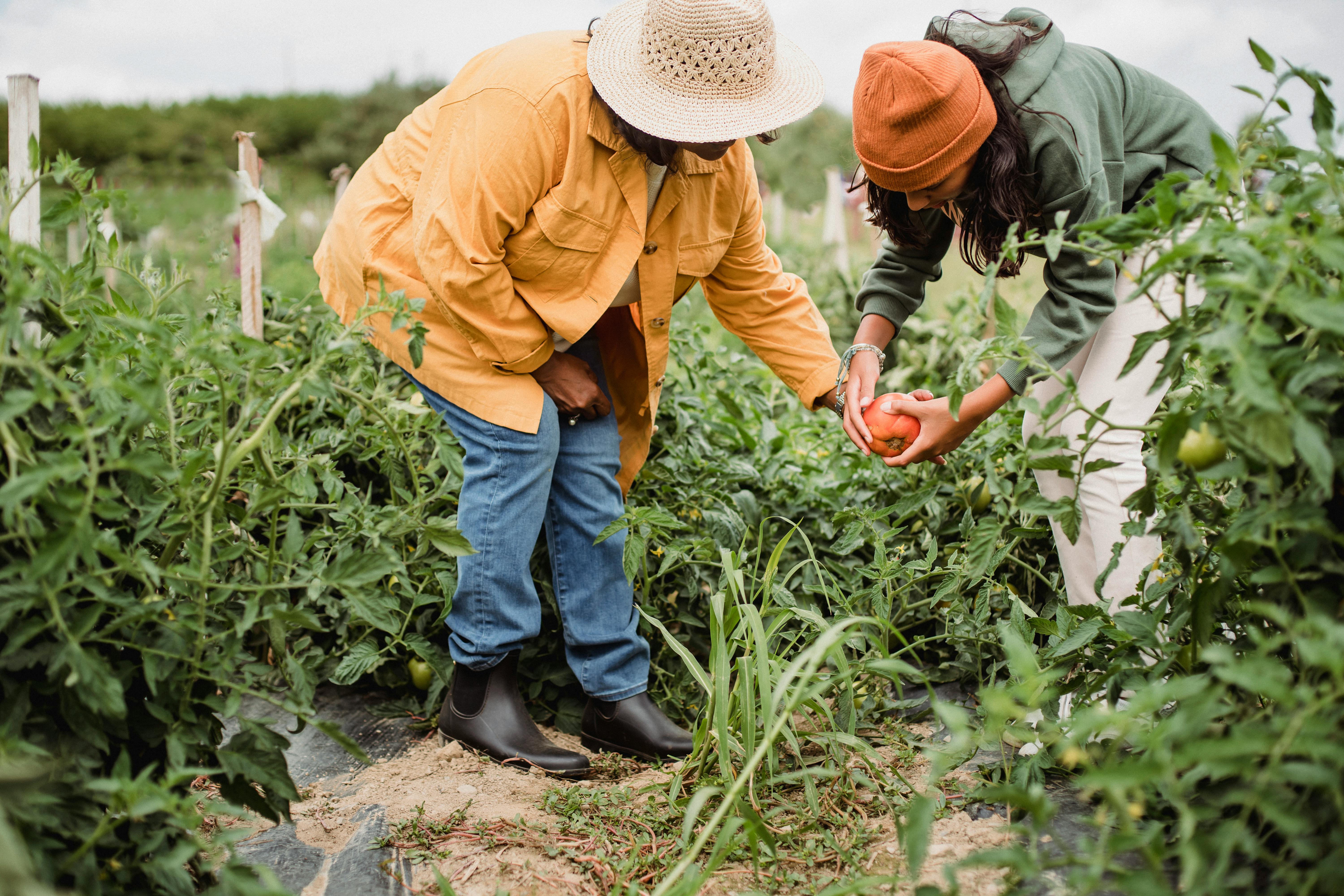 agri-training